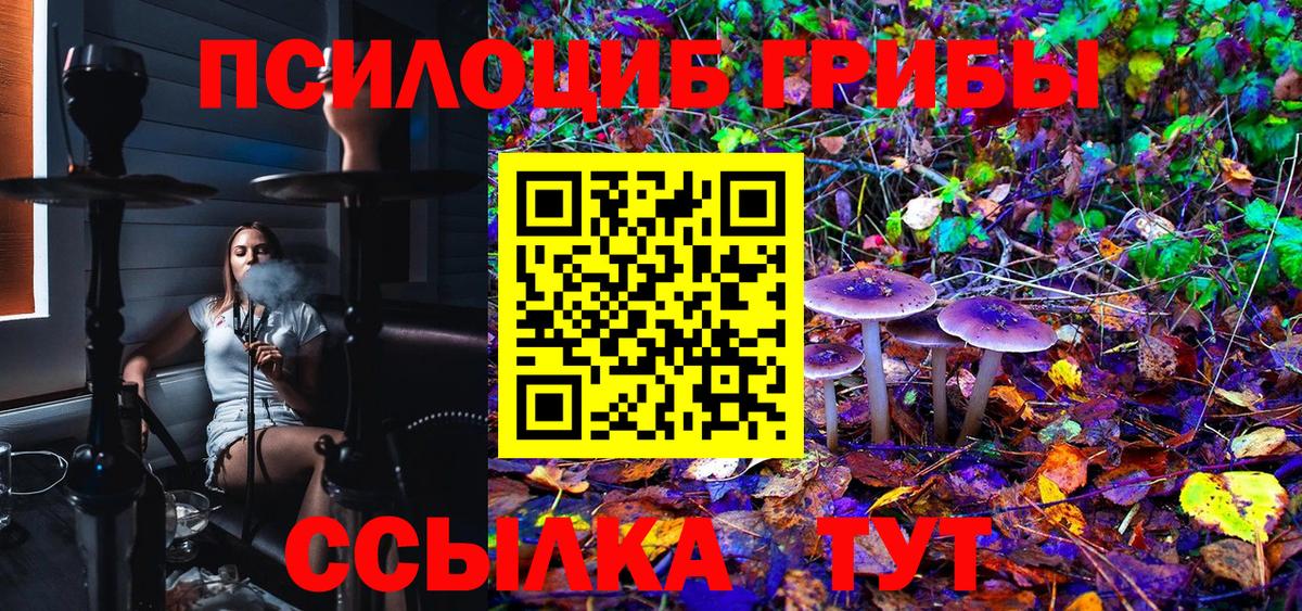 Псилоцибиновые грибы Magic Shrooms  Псилоцибиновые грибы прущие грибы  Оренбург  что такое наркотик  Вход с VPN 