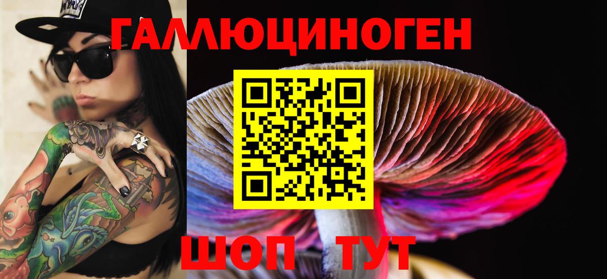 Псилоцибиновые грибы Psilocybine cubensis Оренбург